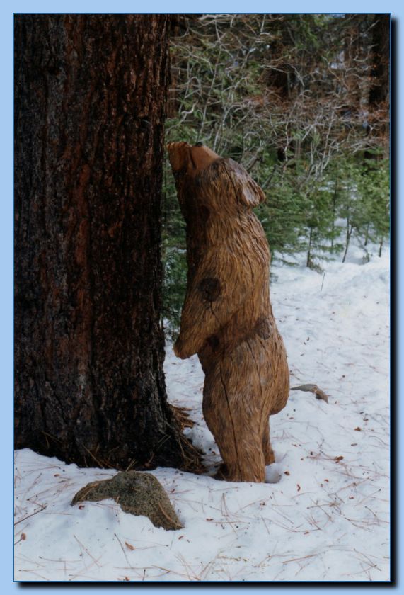 2-33 bear leaning on tree